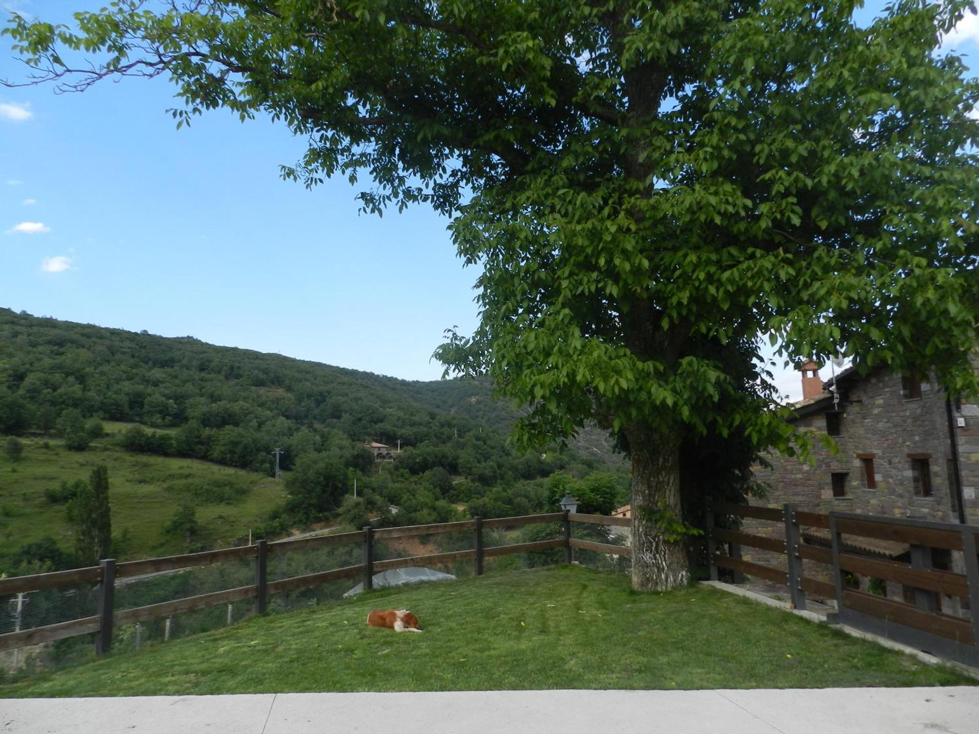 Apartaments El Tossalet Bonansa Buitenkant foto